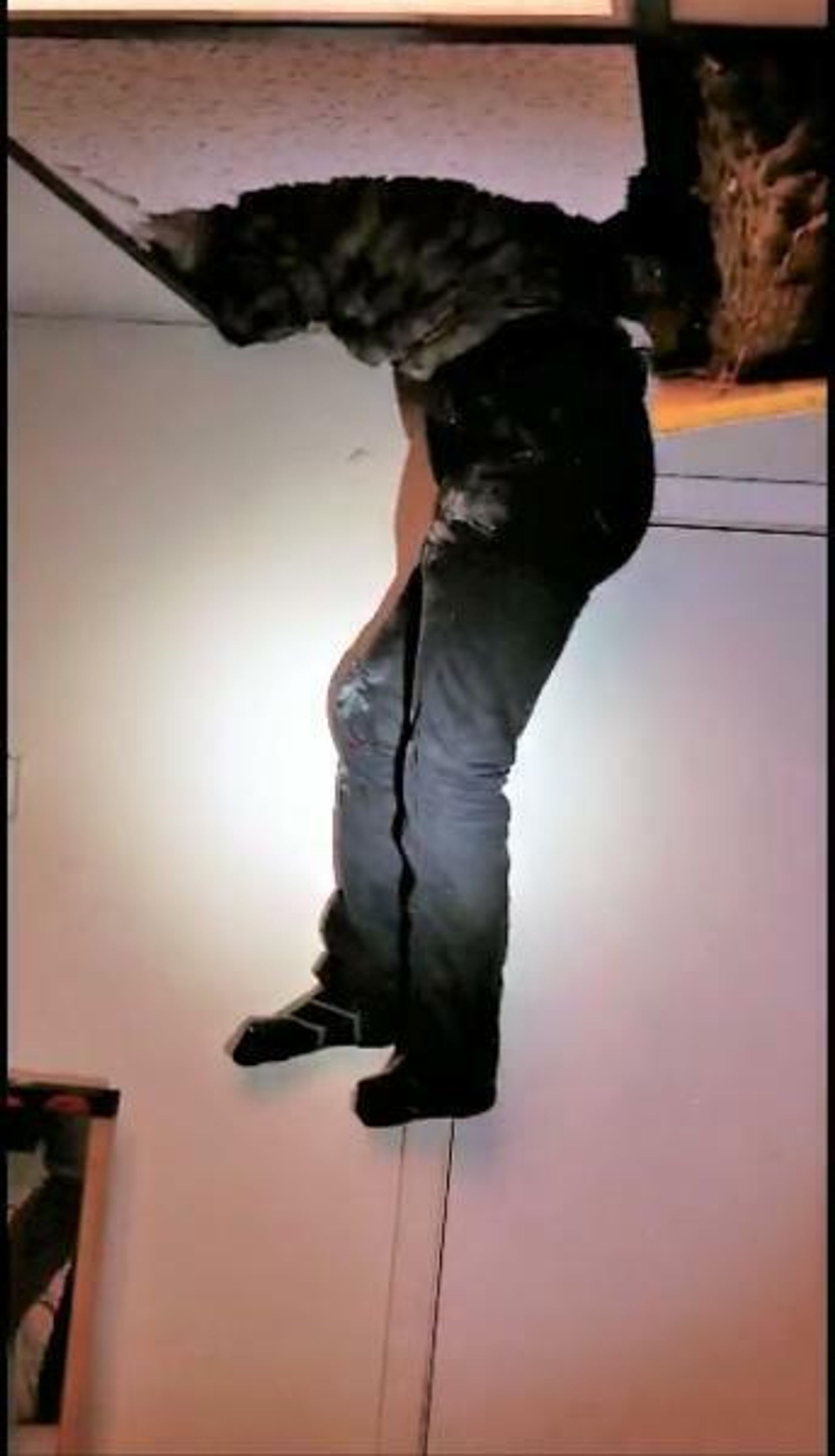 Man hiding in the ceiling in Laredo, Texas. - Sputnik International, 1920, 19.11.2021