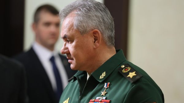 Russian Defence Minister Sergey Shoigu - Sputnik International