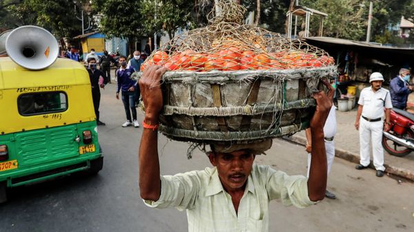 A man carries a basket on his head filled with tomatoes to be delivered to a nearby market in Kolkata, India, Saturday, Jan. 30, 2021 - Sputnik International