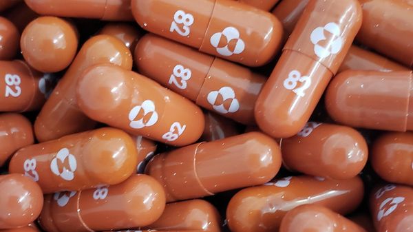A handout photo of an experimental COVID-19 treatment pill, called molnupiravir and being developed by Merck & Co Inc and Ridgeback Biotherapeutics LP A handout photo of an experimental COVID-19 treatment pill, called molnupiravir and being developed by Merck & Co Inc and Ridgeback Biotherapeutics LP - Sputnik International