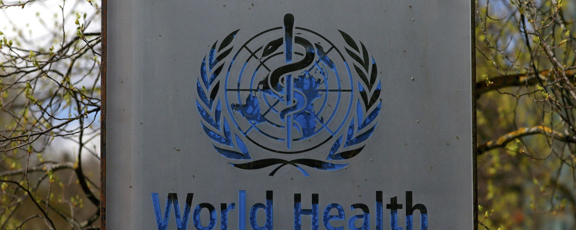 A logo is pictured outside a building of the World Health Organization (WHO) during an executive board meeting on update on the coronavirus disease (COVID-19) outbreak, in Geneva, Switzerland, April 6, 2021 A logo is pictured outside a building of the World Health Organization (WHO) during an executive board meeting on update on the coronavirus disease (COVID-19) outbreak, in Geneva, Switzerland, April 6, 2021 - Sputnik International, 1920, 27.11.2021
