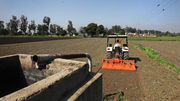 A farmer uses a tractor to plough his field at Fatehgarh Sahib, in Indian state of Punjab, Sunday, March 14, 2021. India's water crisis looms over the agrarian crisis that has been brewing for decades. And at its heart is a policy conundrum: India has been subsidizing the cultivation of rice in northern India, but these are thirsty crops that have depleted the ground water.  - Sputnik International