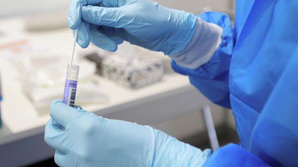 A medical worker stores a swab in a vial at XL Schiphol test location, after Dutch health authorities said that 61 people who arrived in Amsterdam on flights from South Africa tested positive for COVID-19, in Amsterdam, Netherlands, November 27, 2021. - Sputnik International