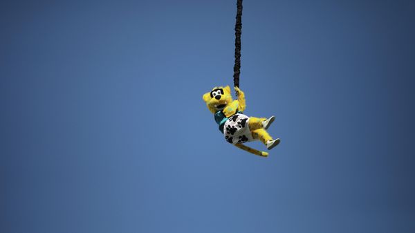 Jacksonville Jaguars mascot bungee jumps from the top of the stadium to the field before the first half of an NFL football game against the San Francisco 49ers, Sunday, Nov. 21, 2021, in Jacksonville, Fla. - Sputnik International