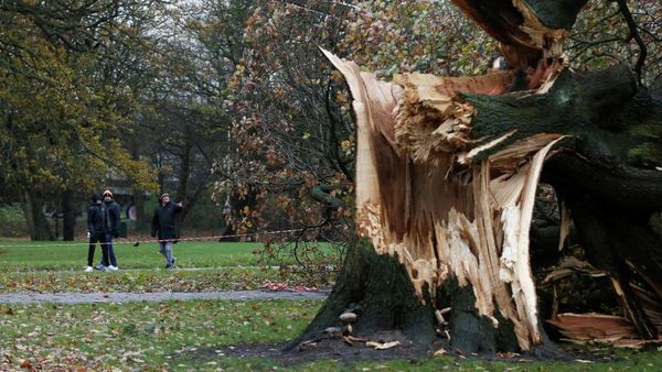 Soccer Football - Championship - Hull City v Millwall - KCOM Stadium, Hull, Britain - November 27, 2021 Fans walk past a fallen tree outside the stadium as a result of Storm Arwen - Sputnik International