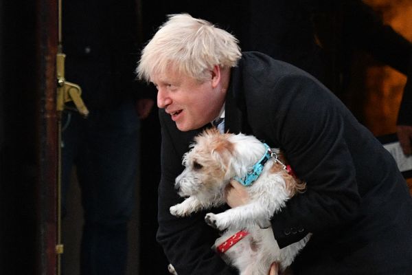 Britain's Prime Minister Boris Johnson poses with his Jack Russell terrier Dilyn after casting his vote at a polling station in central London for the general election on 12 December 2019. - Sputnik International