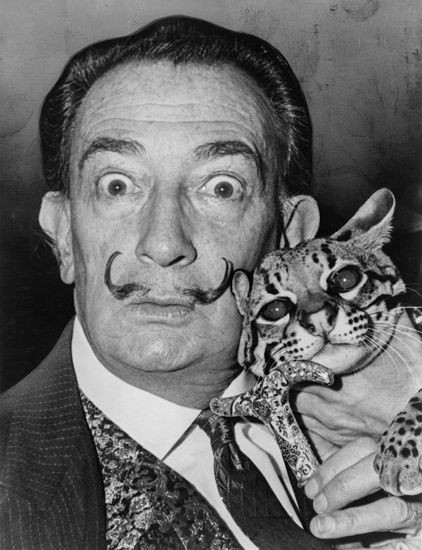 Salvador Dali with his pet ocelot, Babou, 1965. - Sputnik International