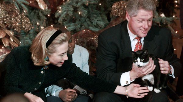 In this Dec. 20, 1996, file photo President Clinton holds Socks the cat as he and first lady Hillary Clinton host Washington area elementary school children at the White House where the president read Twas the Night Before Christmas. In this Dec. 20, 1996, file photo President Clinton holds Socks the cat as he and first lady Hillary Clinton host Washington area elementary school children at the White House where the president read Twas the Night Before Christmas. - Sputnik International