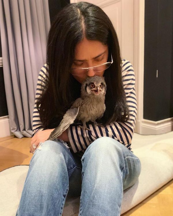 Actress Salma Hayek, like the goddess Athena, has a weakness for an owl. - Sputnik International