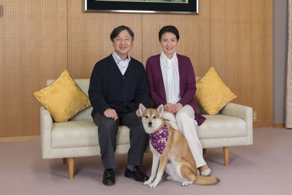 Japan's Empress Masako (R) and her husband Emperor Naruhito (L) posing for a photograph while still crown prince and princess with their pet dog Yuri at Togu Palace in Tokyo on 4 December 2018. They ascended the Chrysanthemum Throne on 1 May 2019. - Sputnik International