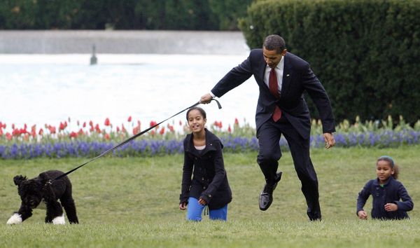 Then-president Barack Obama is almost yanked off his feet as he shows off his family's new dog Bo, a six-month-old Portuguese water dog with his daughters Malia, left, and Sasha, right, on the South Lawn of the White House in Washington on 14 April 2009. - Sputnik International