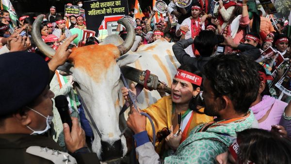 Supporters of the women's wing of India's main opposition Congress Party, attend a protest against what they say is rising inflation in the country, in New Delhi, India, November 30, 2021 - Sputnik International