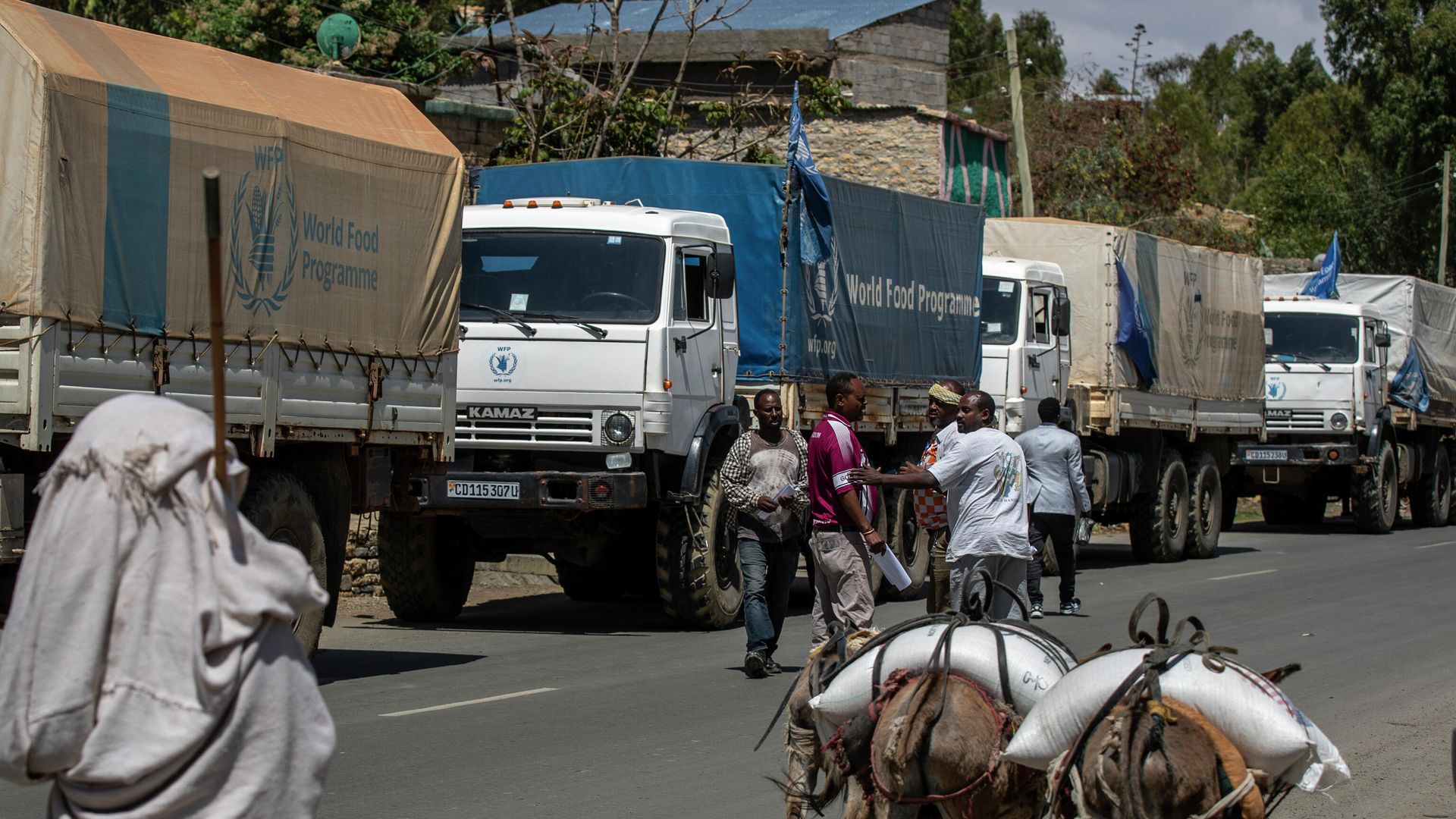 A convoy of trucks from the World Food Program stops by the side of the road after receiving news that the road ahead has been closed by the Ethiopian military with the sounds of shelling heard earlier, near Agula, in the Tigray region of northern Ethiopia Saturday, May 8, 2021. Thousands of people have been killed in the fighting between Ethiopian and allied forces and Tigray ones, the result of a political struggle that turned deadly in November. A convoy of trucks from the World Food Program stops by the side of the road after receiving news that the road ahead has been closed by the Ethiopian military with the sounds of shelling heard earlier, near Agula, in the Tigray region of northern Ethiopia Saturday, May 8, 2021. Thousands of people have been killed in the fighting between Ethiopian and allied forces and Tigray ones, the result of a political struggle that turned deadly in November. - Sputnik International, 1920, 09.12.2021