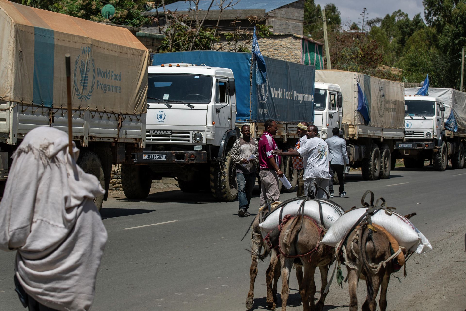 A convoy of trucks from the World Food Program stops by the side of the road after receiving news that the road ahead has been closed by the Ethiopian military with the sounds of shelling heard earlier, near Agula, in the Tigray region of northern Ethiopia Saturday, May 8, 2021. Thousands of people have been killed in the fighting between Ethiopian and allied forces and Tigray ones, the result of a political struggle that turned deadly in November. A convoy of trucks from the World Food Program stops by the side of the road after receiving news that the road ahead has been closed by the Ethiopian military with the sounds of shelling heard earlier, near Agula, in the Tigray region of northern Ethiopia Saturday, May 8, 2021. Thousands of people have been killed in the fighting between Ethiopian and allied forces and Tigray ones, the result of a political struggle that turned deadly in November. - Sputnik International, 1920, 24.12.2021