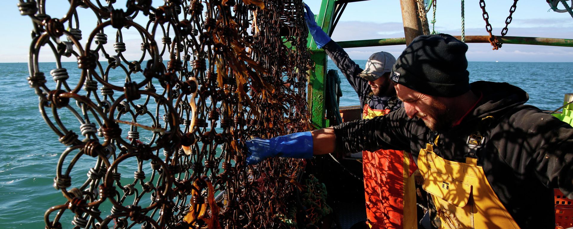 French fishermen work at the net aboard the trawler Le Chant des Sirenes (The Mermaids' song) at the limits of the French-UK waters, off Granville, Normandy, Tuesday, Nov.9, 2021 French fishermen work at the net aboard the trawler Le Chant des Sirenes (The Mermaids' song) at the limits of the French-UK waters, off Granville, Normandy, Tuesday, Nov.9, 2021 - Sputnik International, 1920, 10.12.2021