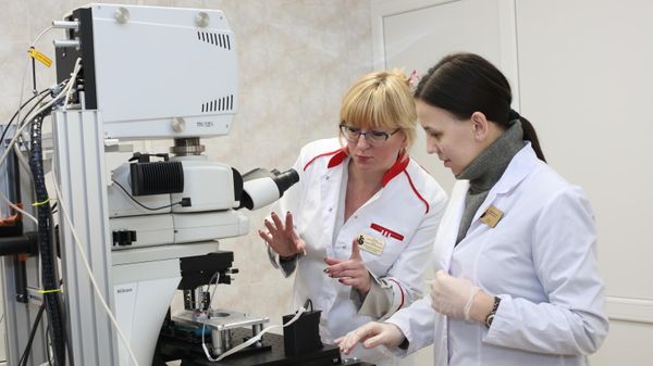 The work of the scientific group  - Sputnik International
