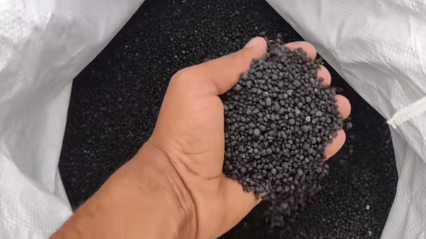 A man holding grains of single superphosphate fertilizer scooped out of a bag - Sputnik International