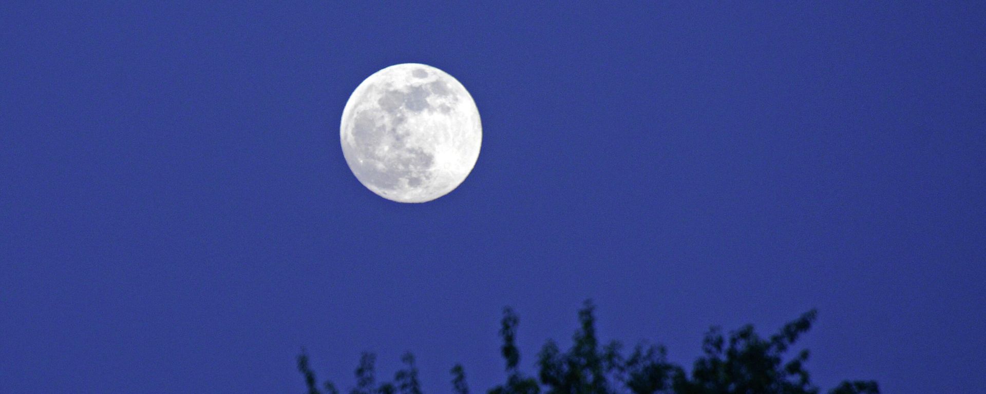 Full moon - Sputnik International, 1920, 08.04.2023