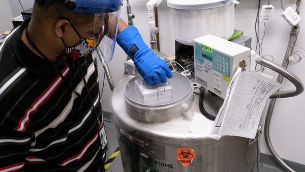 From a single small vial, the manufacture of the Walter Reed Army Institute of Research (WRAIR), COVID Vaccine begins. Anthony Marshall from the Pilot Bioproduction Facility (PBF) Quality Assurance team removed cell starting material from liquid nitrogen storage signifying the initiation of WRAIR's vaccine material. - Sputnik International
