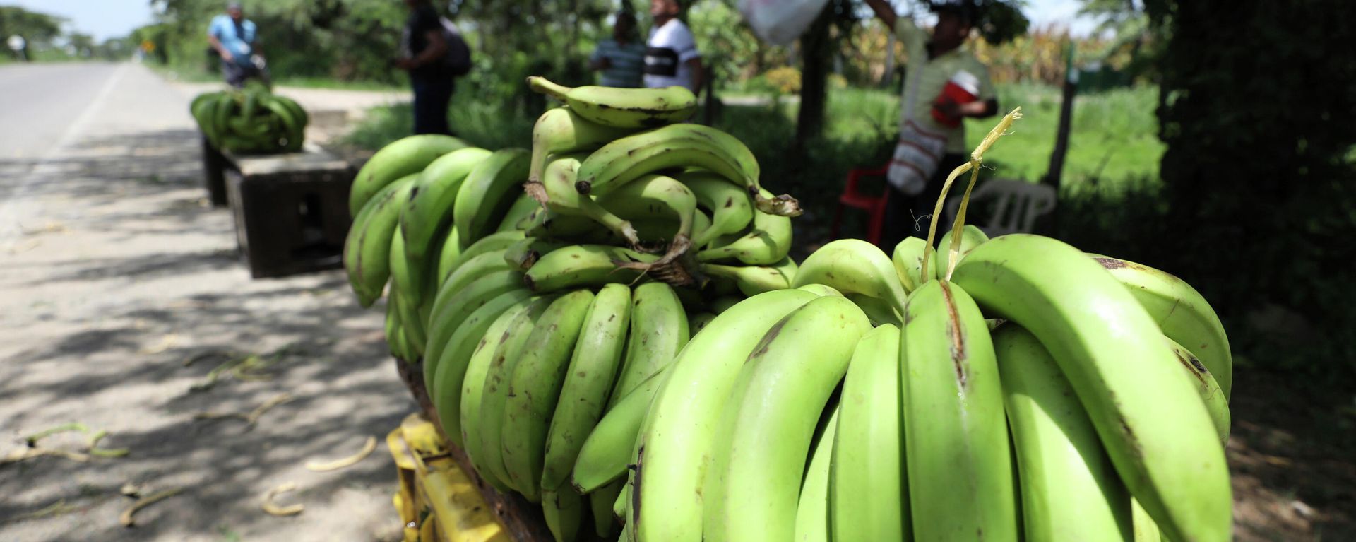 A man sells bananas near a quarantined banana plantation affected by a destructive fungus near Riohacha, Colombia, Thursday, Aug. 22, 2019 - Sputnik International, 1920, 26.07.2022