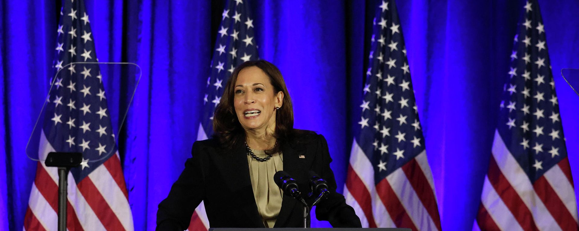 U.S. Vice President Kamala Harris speaks during a holiday celebration for the Democratic National Committee (DNC), at the Hotel Washington, in Washington, U.S, December 14, 2021. - Sputnik International, 1920, 27.12.2021