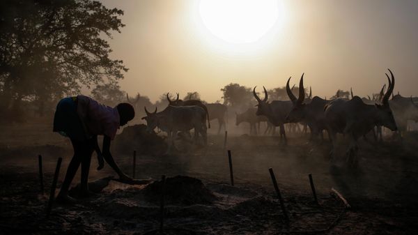 A girl collects fire from a pile of dung ash ahead of nightfall at a camp near Rumbek, capital of the Lakes State in central South Sudan - Sputnik International