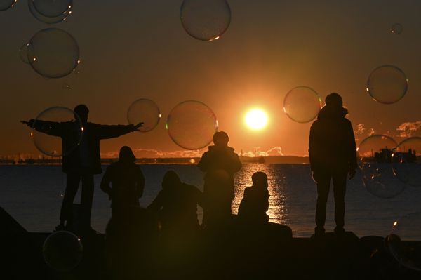 People gather at a seaside park to watch the sunrise on New Year's Day in Tokyo on 1 January 2022.  - Sputnik International