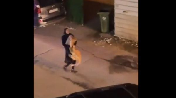 A woman carries a lion - Sputnik International