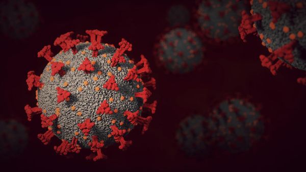 coronavirus - Sputnik International