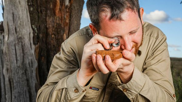 Palaeontologist Dr Mathew McCurry, Australian Museum, Michael Frese - Sputnik International
