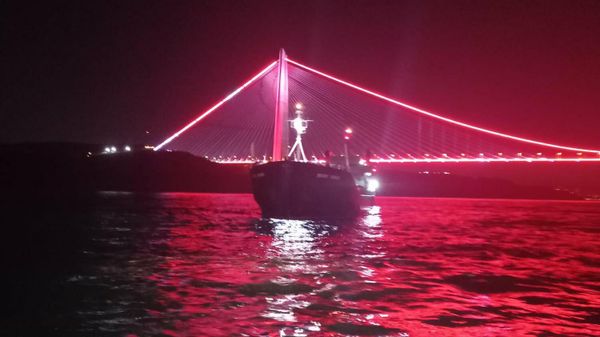 Freighter Breakdown Blocks Turkey's Bosphorus Strait - Sputnik International