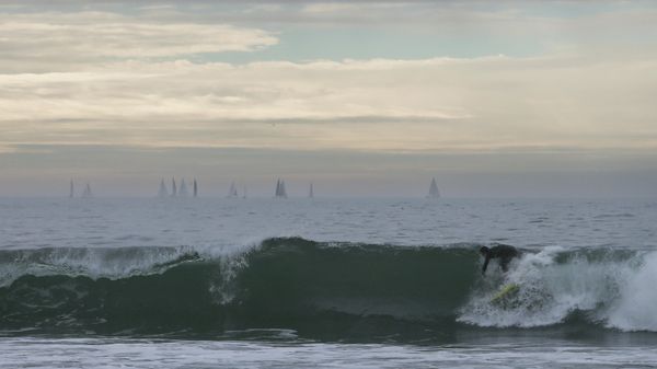 A surfer drops a wave in Venice beach on January 15, 2022 in Los Angeles, California. A tsunami advisory was in effect for the West Coast of the United States as well as Hawaii and Alaska after an undersea volcano erupted in the Pacific Ocean near Tonga.    - Sputnik International