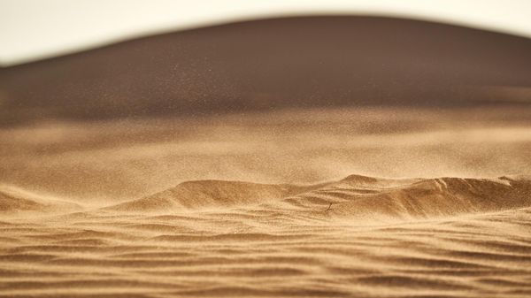 Sahara - Sputnik International