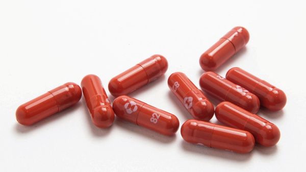 FILE PHOTO: An experimental COVID-19 treatment pill, called molnupiravir and being developed by Merck & Co Inc and Ridgeback Biotherapeutics LP, is seen in this undated handout photo released by Merck & Co Inc and obtained by Reuters on October 26, 2021. - Sputnik International