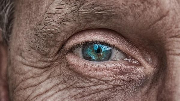  Blue Eye  - Sputnik International