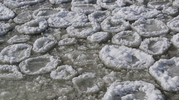 Pancake ice - Sputnik International