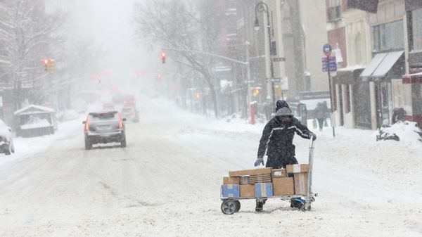 A delivery worker balances packages on a cart as a powerful Nor'easter storm hits the region, in Manhattan, New York City, U.S., January 29, 2022. REUTERS/Caitlin Ochs - Sputnik International