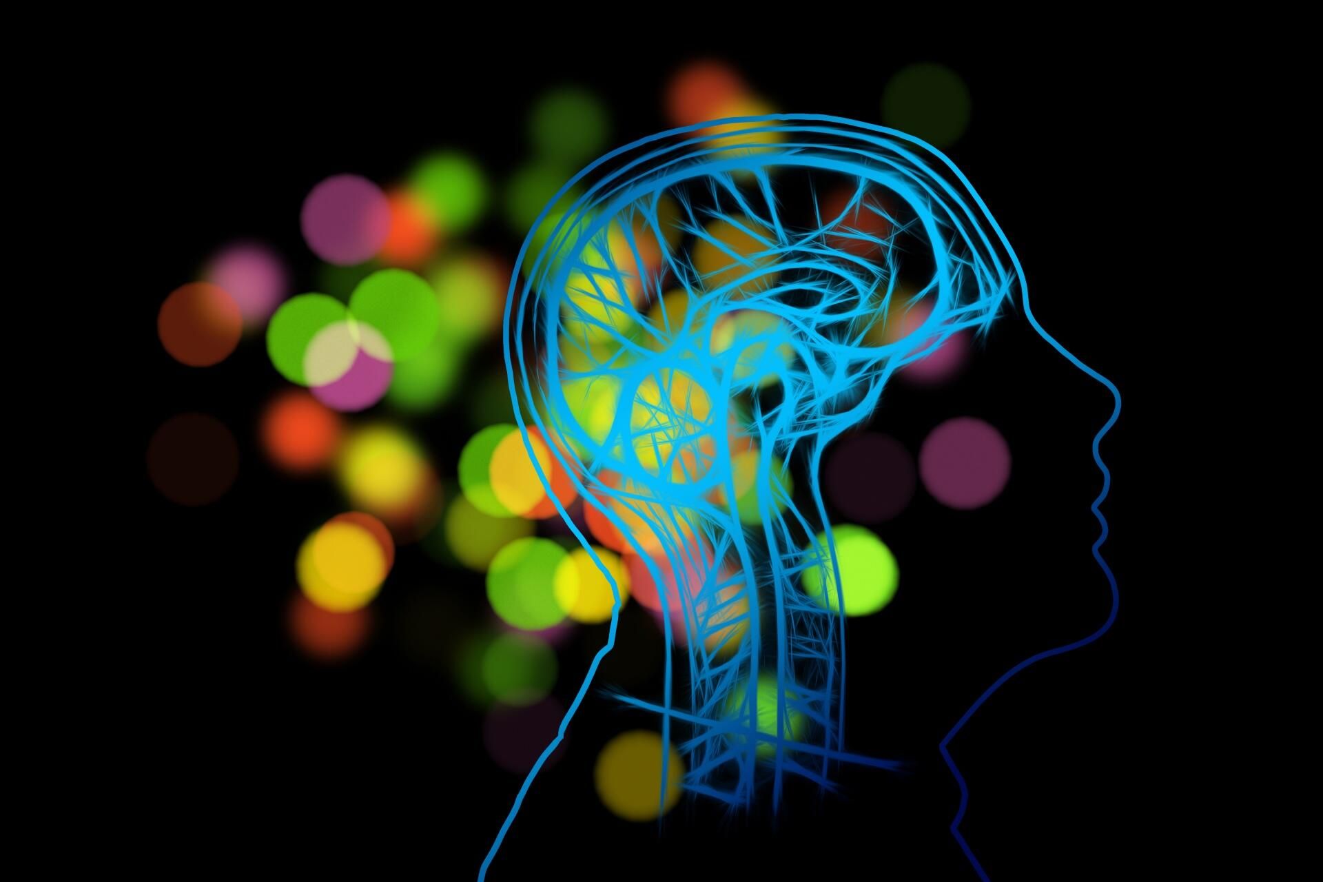 Brain mental health  - Sputnik International, 1920, 29.01.2023