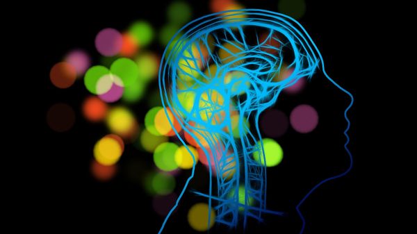 Brain mental health Brain mental health - Sputnik International