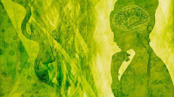 Brain mental health  - Sputnik International