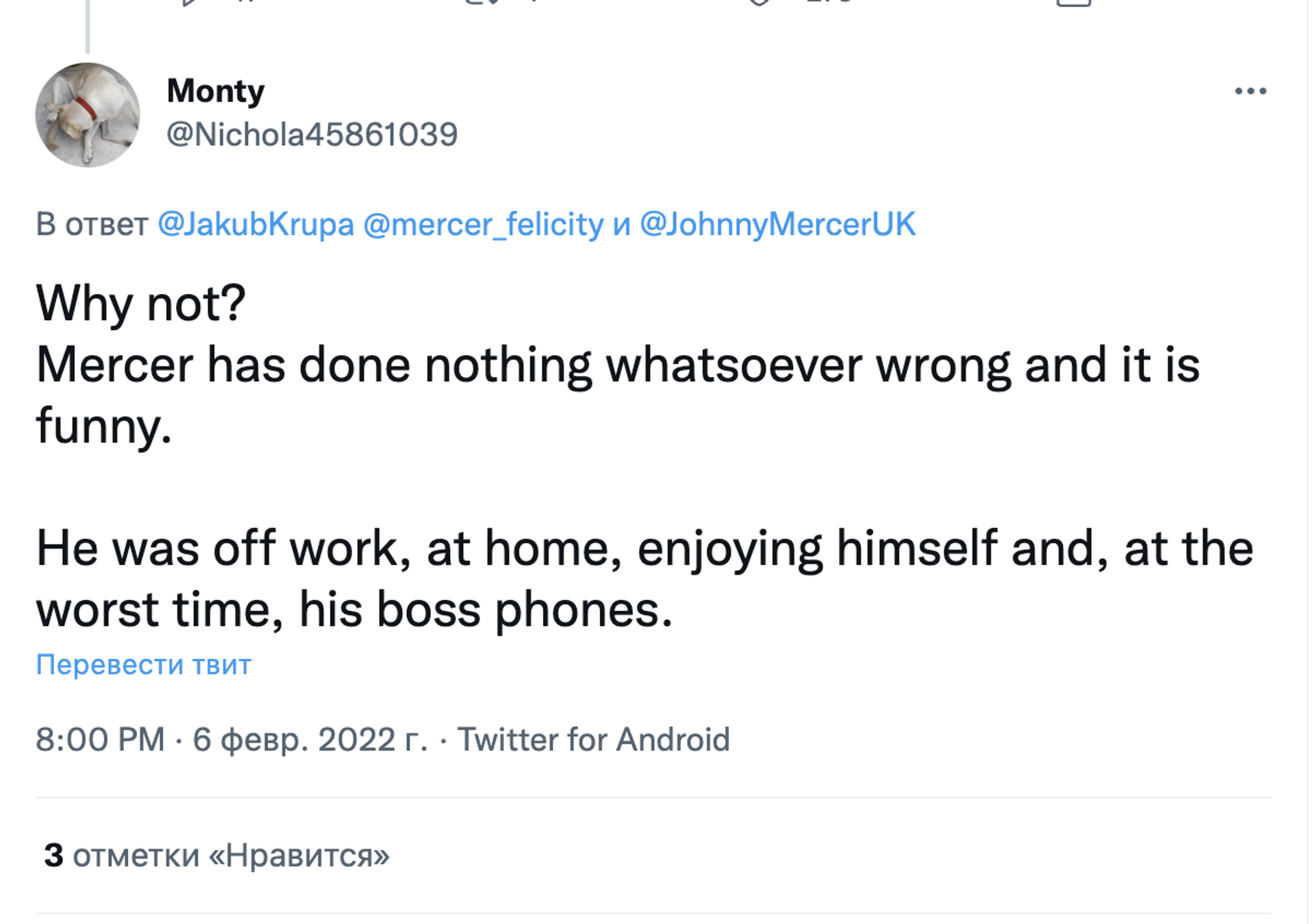 Twitter screenshot - Sputnik International, 1920, 07.02.2022