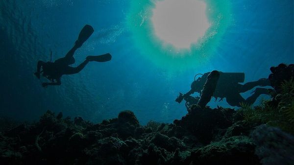 Sunlight underwater - Sputnik International
