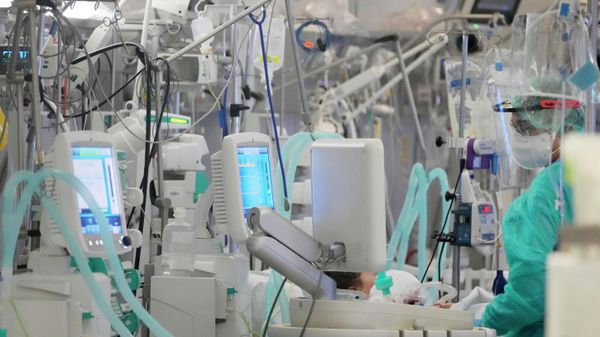Medics care for COVID-19 patients connected to ventilators at the hospital of the Ministry of Interior and Administration in Warsaw, Poland, on Wednesday, Jan. 19, 2022 - Sputnik International
