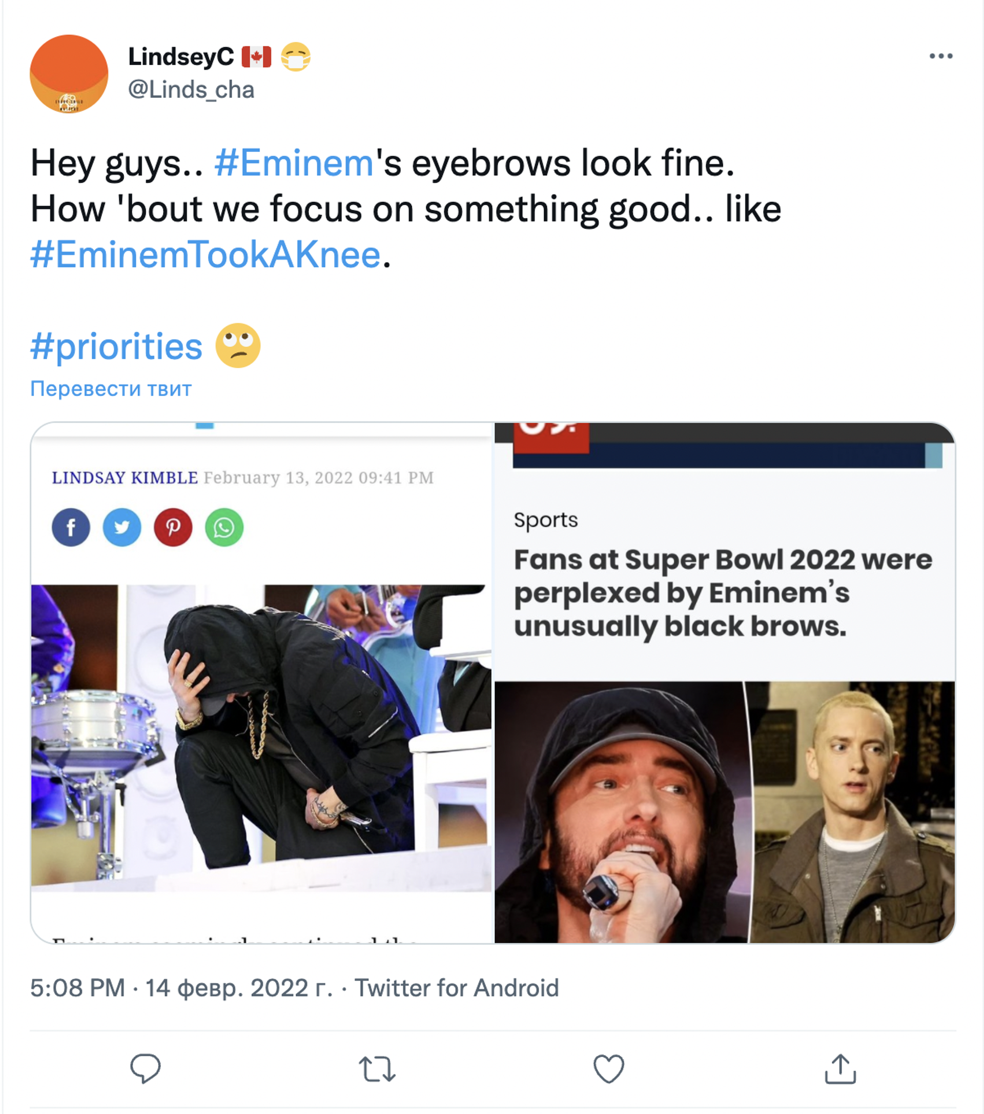 Twitter screenshot - Sputnik International, 1920, 14.02.2022