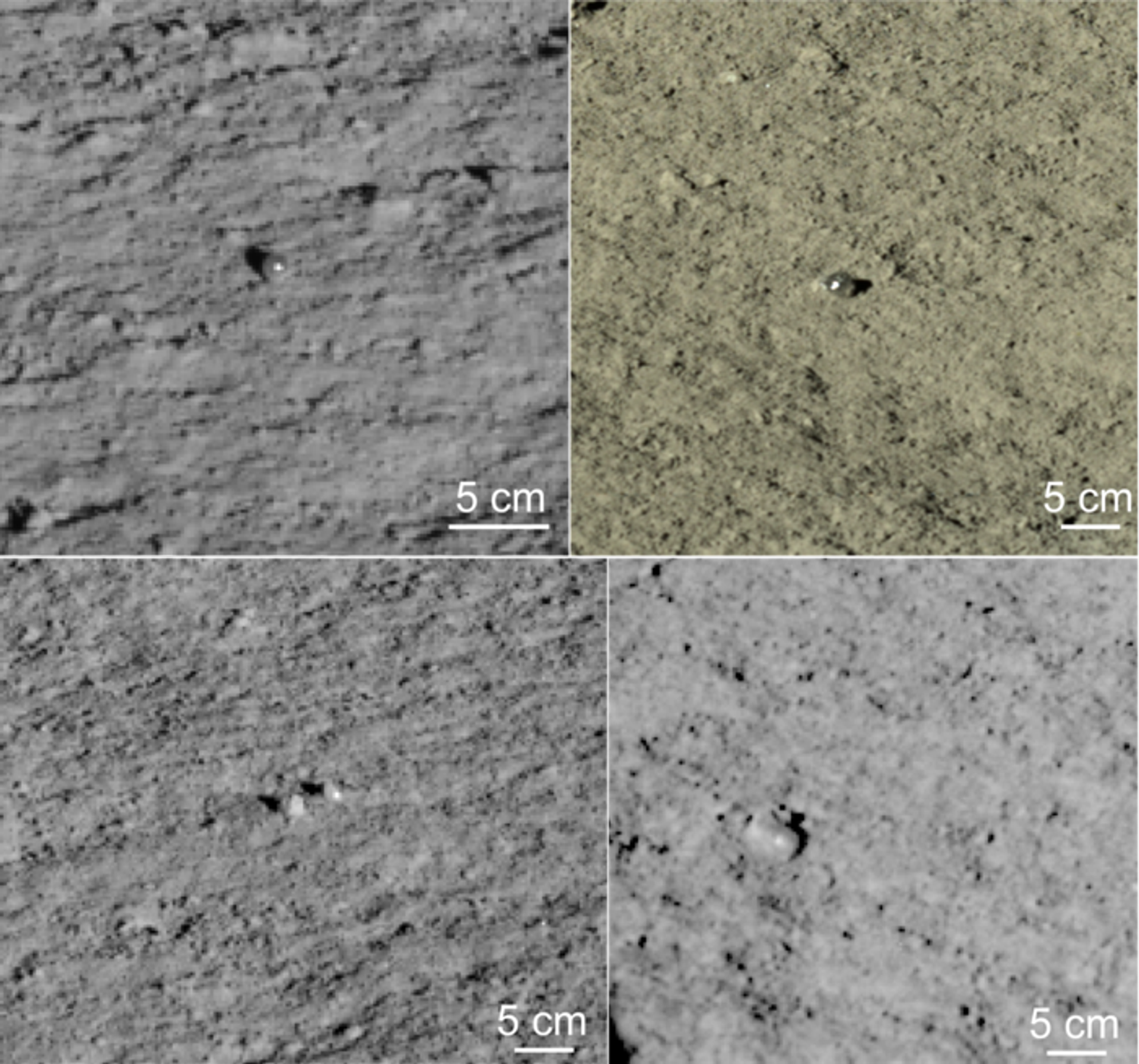 Two confirmed (upper row) and two possible (bottom row) glass globules found along the route of Yutu-2 - Sputnik International, 1920, 25.02.2022