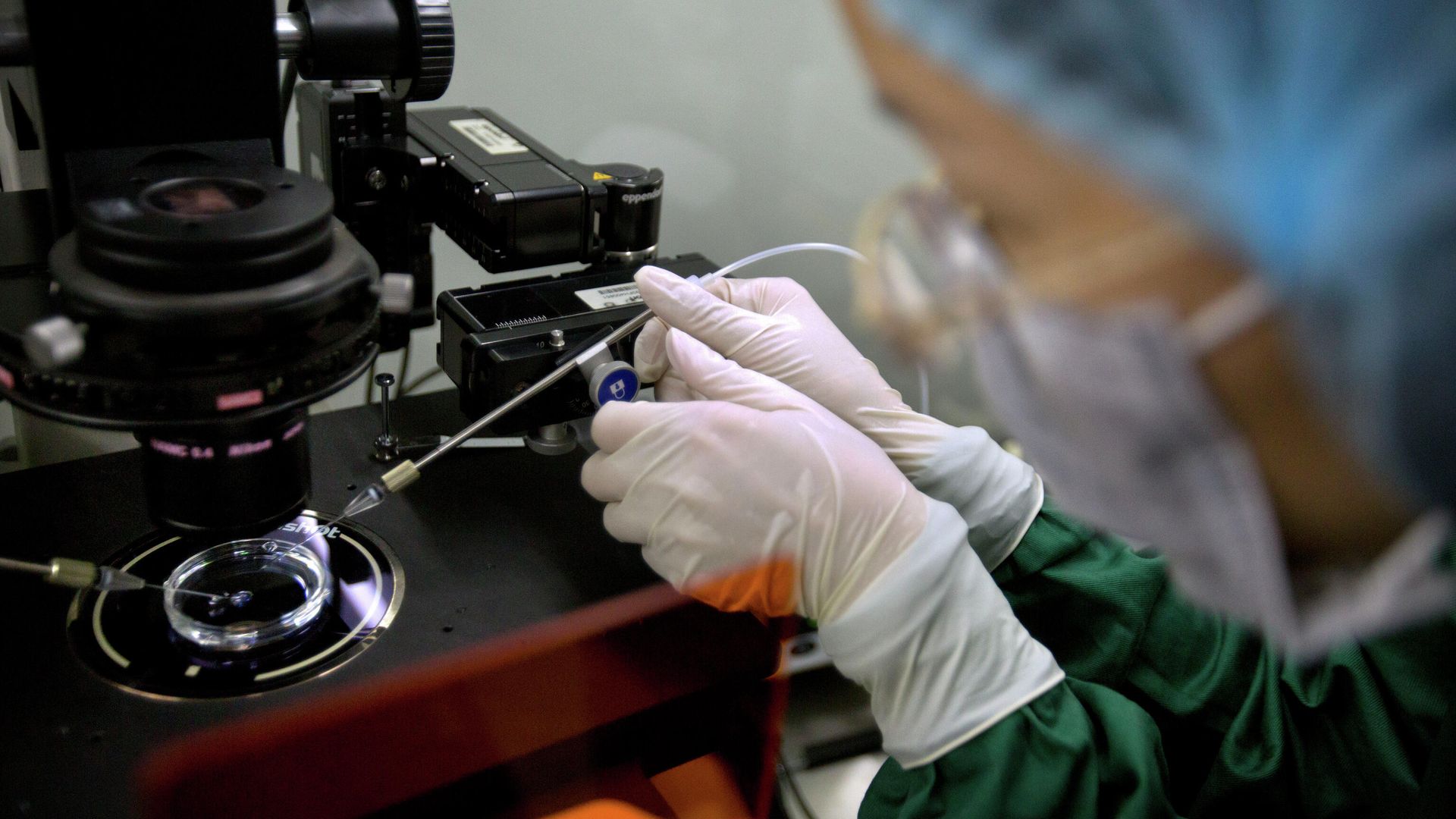 FILE - In this Oct. 9, 2018, file photo, Zhou Xiaoqin installs a fine glass pipette into a sperm injection microscope in preparation for injecting embryos with Cas9 protein and PCSK9 sgRNA at a lab in Shenzhen in southern China's Guandong province FILE - In this Oct. 9, 2018, file photo, Zhou Xiaoqin installs a fine glass pipette into a sperm injection microscope in preparation for injecting embryos with Cas9 protein and PCSK9 sgRNA at a lab in Shenzhen in southern China's Guandong province - Sputnik International, 1920, 01.03.2022