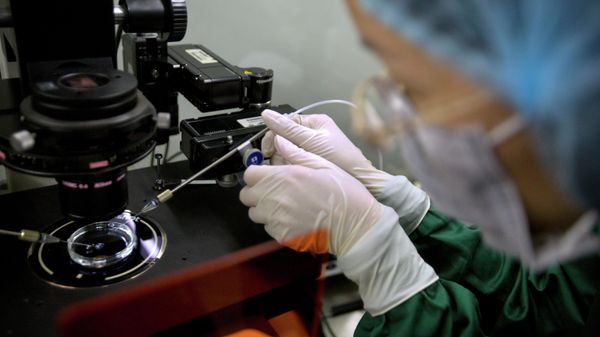A lab in Shenzhen in southern China's Guandong province - Sputnik International