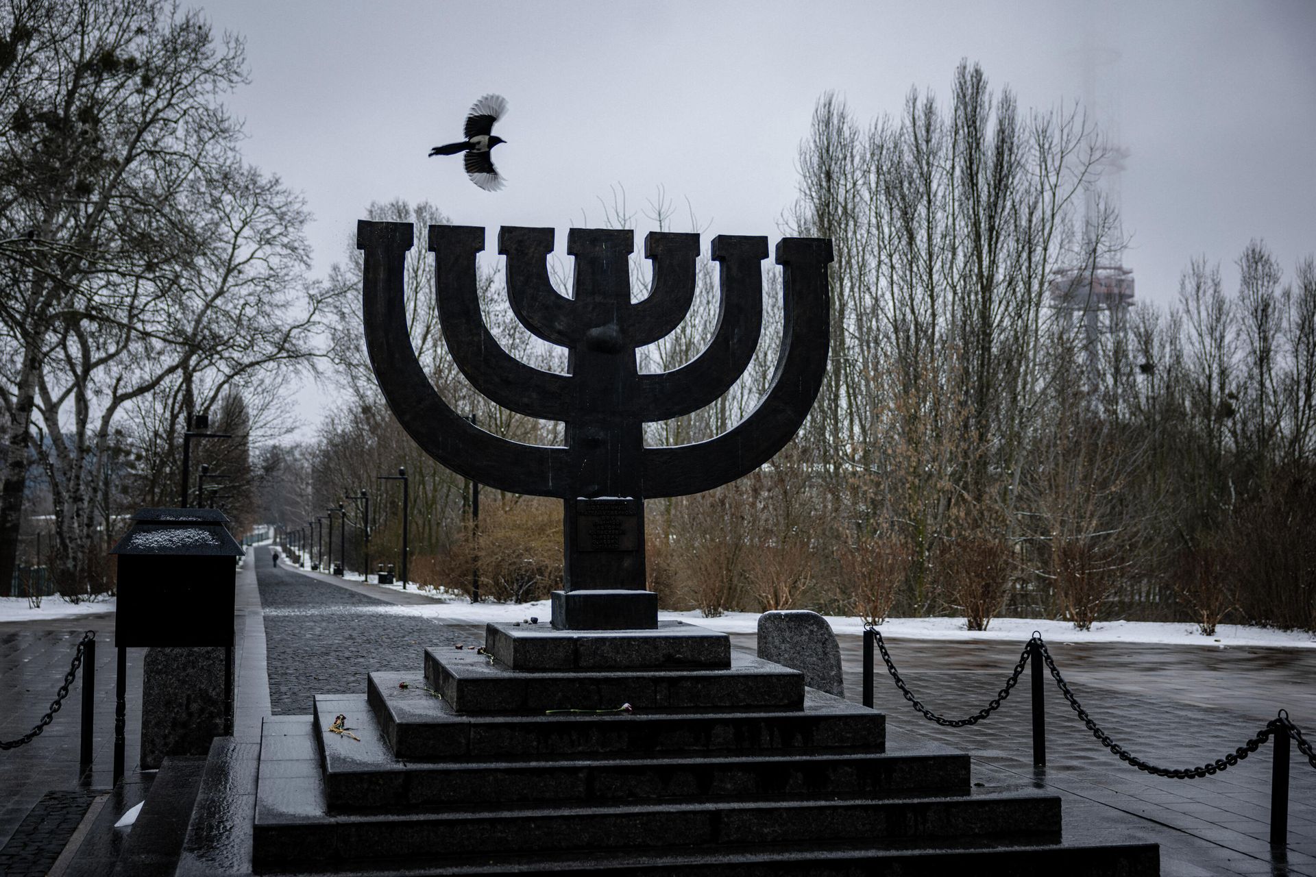 A view of the Babyn (Babi) Yar Holocaust Memorial Center in Kyiv on March 2, 2022 - Sputnik International, 1920, 04.03.2022