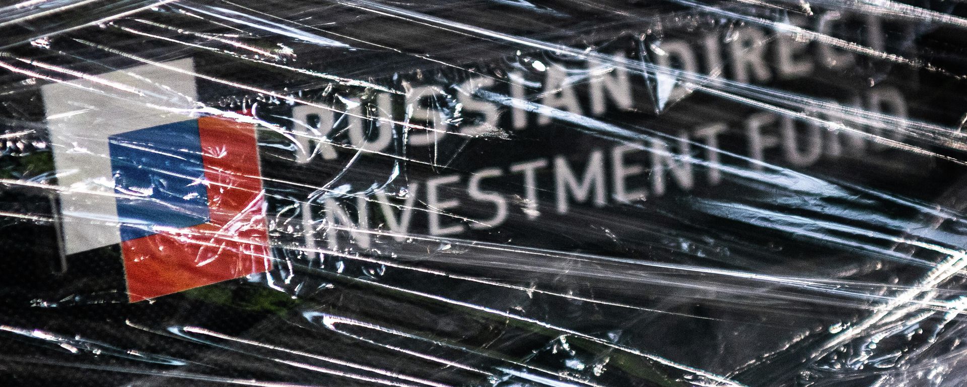 Russian Direct Investment Fund logo - Sputnik International, 1920, 18.06.2025