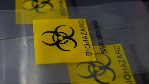 Biohazard
, - Sputnik International
